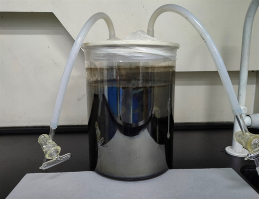 Le catalyseur de noir de platine de COA, a platiné l'amiante 1,347 réfringent