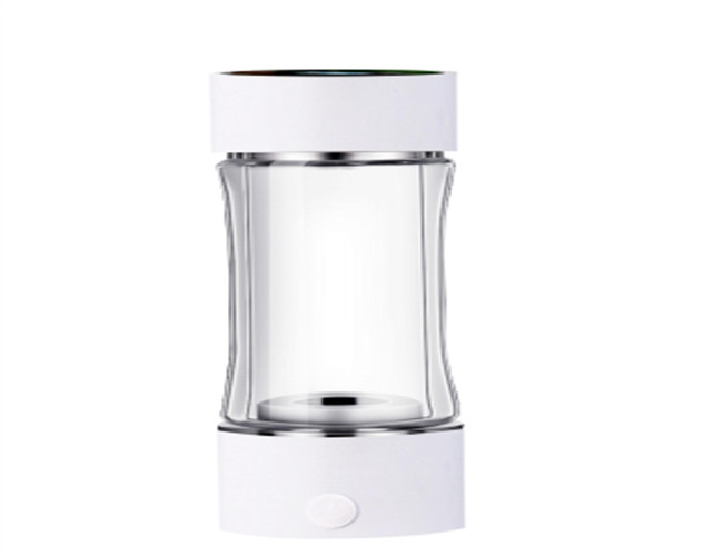 Générateur de bouteille d'eau de l'hydrogène H2 avec PEM double 25W anti-corruption